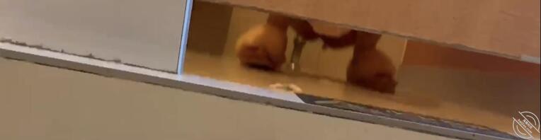 厕所偷拍找同好 天津滨海1