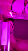 武汉良家学妹超骚简历可约
