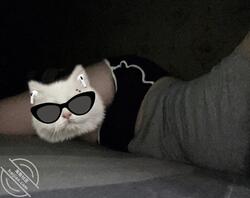 绿友分享自己还在上学的女友揉奶视频2