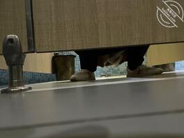 偷拍的一个不知年龄
1