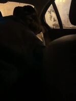 体制内老婆和单男合集