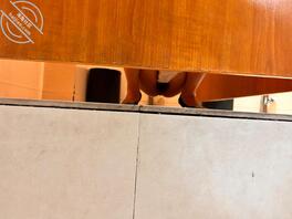 厕拍合集2（20位），看看有喜欢的的吗？2