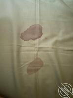 (原创)高中毕业生堂妹2