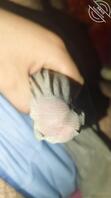 贡献亲妈黑逼求羞辱意淫2