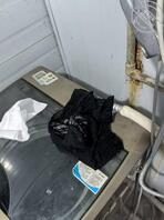 偷拍女同事洗澡1