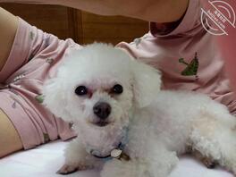 绝对真实 求通过0