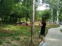 关于乱伦的一些问题1