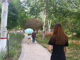 关于乱伦的一些问题2