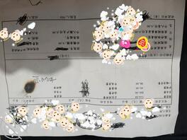 女儿的故事  和女儿畅谈