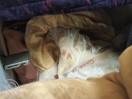 可惜拉帘了，本来想更一期偷拍女大的，很好的素材2