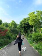 原创十四,买着酒和菜回去给姐姐一个惊喜,气氛达到了一个暧昧的地步!2