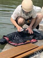 熟女河边洗衣服岔开双腿露出内裤，提醒了一声，结果岔得更开2