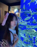 「投稿原创」三姐妹自拍，你最想肏哪一个呢