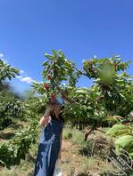 发几张姐姐的美照1