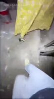 排卵期跟侄女交配，后入内射，不会怀孕吧！