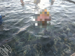 主打一个听劝,新账号开新帖,计划拿下小姨子的第一天0