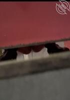 厕拍t模杨娜&别以为你穿条运动短裤我就抄不了底！1