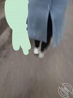 与堂嫂的快乐时光(18)--偷拍了嫂子和她的内裤 尽力了2