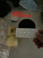 老婆怀孕了(25)强奸岳母 狂扇奶子内射 岳母痛哭流涕0