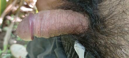 苞米地里等你送母狗过来！绿们上你们骚货，1