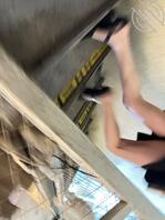 抄底大美臀、后看真的很性感、太紧张没拍好1