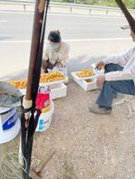 有喜欢露出的海友一起交流