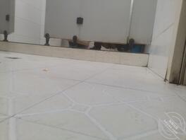 没事随便拍几张0