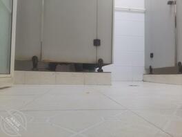 没事随便拍几张1