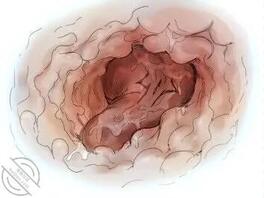 在妹妹手机有重大发现!大概了解她对性的兴趣特点1