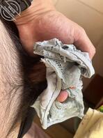 给小姨子单独开一贴