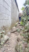 6.偷窥完弟媳菜地里撒尿，带她去吃东西，听到跟我弟电话里吵架。1