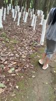 6.偷窥完弟媳菜地里撒尿，带她去吃东西，听到跟我弟电话里吵架。