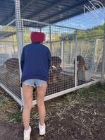 (原创)大学妹妹同居系列22户外野战2