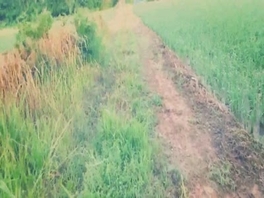 荒野大作战超清啪啪啪