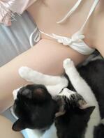 亲妹妹2