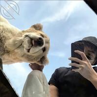 石家庄女大第一次交换。2