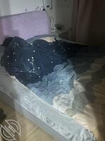 记录(6) 日常更新,想要上我妈计划进行时0