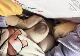 骚货妈妈大奶大乳晕2