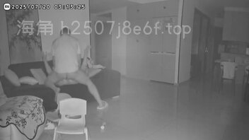 监控下的一幕（2）