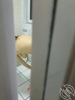 2 【原创】看到小侄女手机里的那一幕,我惊呆了1