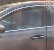 发现公司附近高冷女神的秘密2