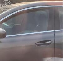 发现公司附近高冷女神的秘密