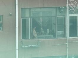 对面大姐起的挺早啊！胸很大0