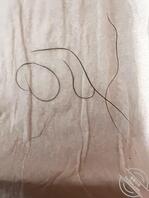 丰县便集39老母狗王莹秋，录音怎么上传失败有懂的吗教下