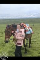 献母 欢迎野爹 绿母