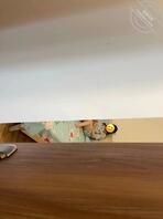 各位大哥,我已经开始对我妈试探了,不知道这样算成功还是失败啊?1