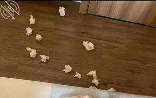 各位大哥,我已经开始对我妈试探了,不知道这样算成功还是失败啊?2