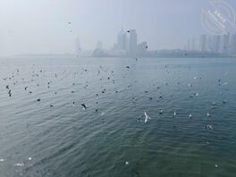 日照东港