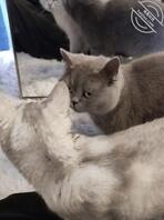 姐夫出差,最好的时机?(三)0