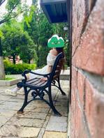 七年舔狗逆袭之路(四)贪婪的小姨子总是无止境索取0